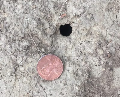Emergence Hole, with coin for scale