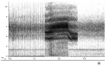 M-cassini sonogram of male call and female wing flick.