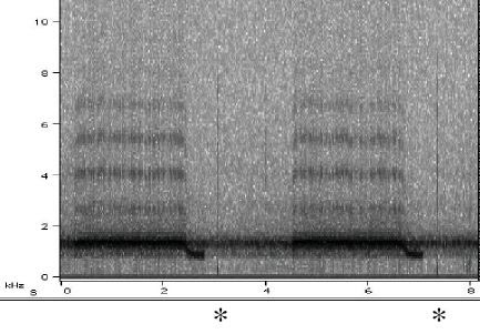 M-decim sonogram of male call and female wing flick.