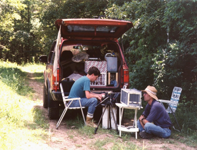 Playback experiments in 1998